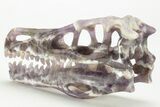 Carved Amethyst Dinosaur Crystal Skull - Ferocious! #227045-5